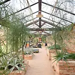 Domaine Des Etangs, Collection Massignac