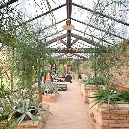 Domaine Des Etangs, Collection Massignac